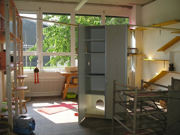 Die hellen schönen Innenräume der Katzenpension mit verschiedenen Schlaf und Liegeplätzen : Innenraum,Katzenpension,Katzenheim,Katzenferien,Katzenhotel,Tierheim,Wyland,Ossingen,Winterthur,Frauenfeld,Schaffhausen,Stein am Rhein,Henggert,Neunforn,Wilen,Kanton,Zürich,Thurgau,Dachsen,Uhwiesen,Oerlingen,Andelfingen,Neftenbach,Flach,Klettermöglichkeiten,Verstecken